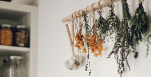 herbs hanging on a wall with jars in a shelf alongside them