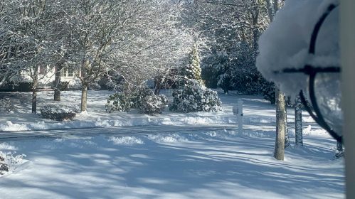 snow covers a front yard